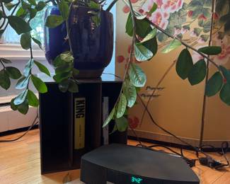 plant for sale not the Bose radio