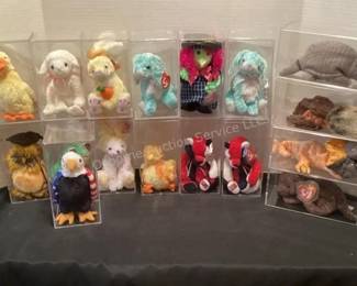 Many, many TY Beanies to choose from