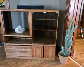 Wood Entertainment Unit with Smoke Glass Doors; Faux Cactus and more.