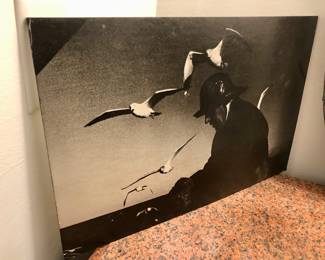 Seagull man vintage pic