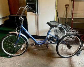 Trike with Basket