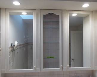 See prices & more info, copy & paste link below:
https://beforeudemo.com/sales-event/hinsdale-house-kitchen-bath-rehab-sale/