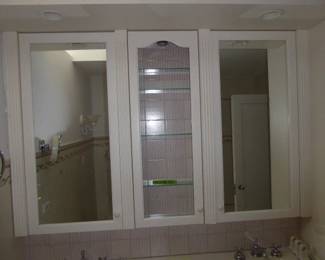 See prices & more info, copy & paste link below:
https://beforeudemo.com/sales-event/hinsdale-house-kitchen-bath-rehab-sale/