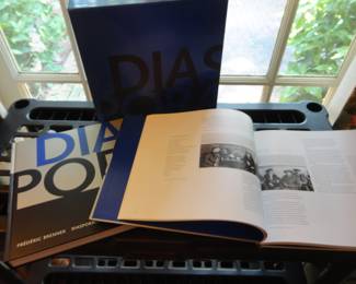 Diaspora Homelands in Exile (2 volume set) Frederic Brenner