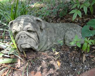 Large Heavy Concrete Bull Dog