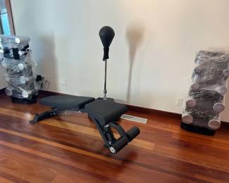 Gym ~ Dumbell Set