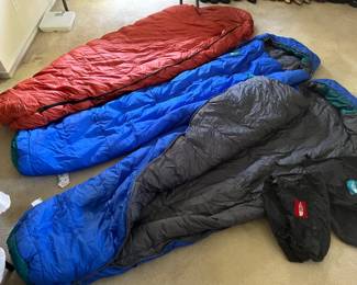 Don't know the degrees but awesome sleeping bags