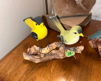 Cute birds