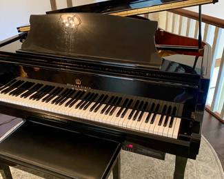Beautiful Story and Clark Player baby grand piano!