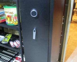Sentry Gun Safe