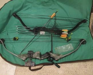 Compound Bows with Arrows