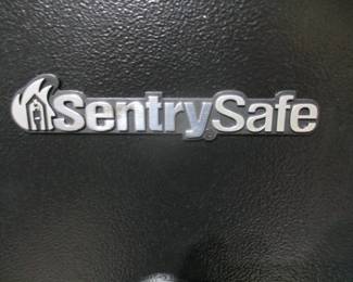 Sentry Gun Safe