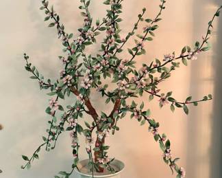 Chinese Jade Tree