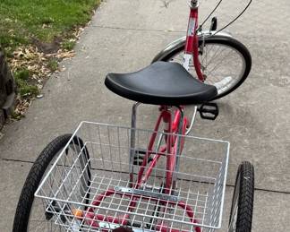 SUN TRADITIONAL Trike