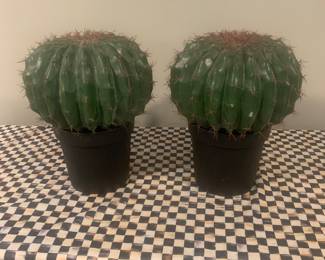 Large cactus