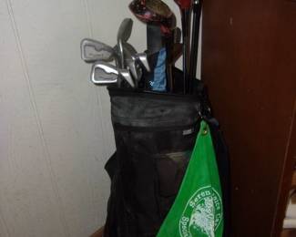 Golf Clubs/Bag
