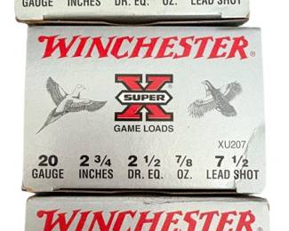 Winchester 20 GA Ammunition