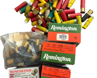 Miscellaneous Shotgun Ammo