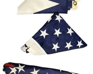 USA Texas Flags