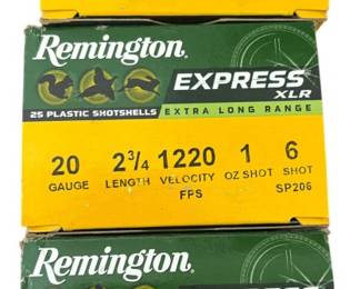 Remington Express 20 Ga SP206 Shells