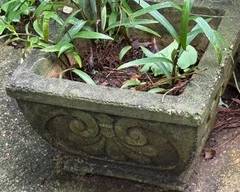 Concrete Planters