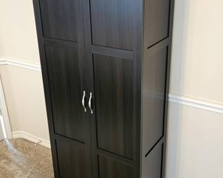 Tall Black Cabinet w/ Shelves & Divided Sections