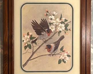Illustration by Saron of 2 Birds in Apple Blossoms