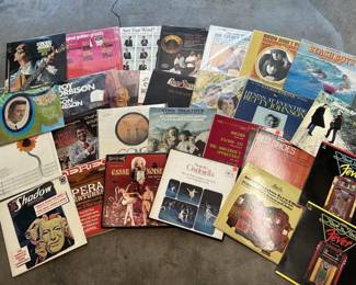 Vintage LPs, Vinyl Record Albums: The Beach Boys +
