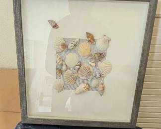 AWT240 - Framed Premium Sea Shells
