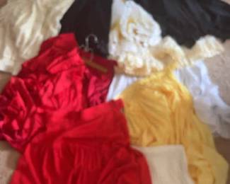 AWT041 Large Lot Women’s Skirts