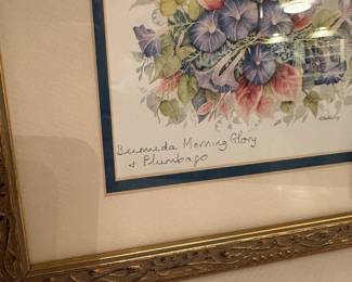B134 - $15. Framed Print "Bermuda Morning Glory & Plumbago" Measures 11.25" x 9.5" framed.