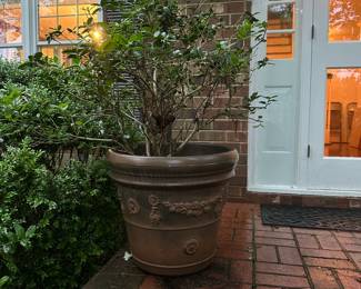 B143 - $250. PAIR of LARGE Vintage Terra Cotta Planters (includes small bushes planted in them) No cracks or issues noted.