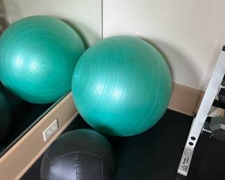 Balance Ball and Medicine Ball