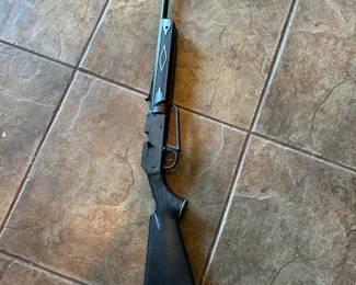 Daisy BB Gun