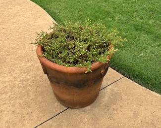 Flower Pots