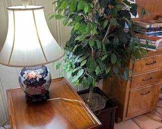 nice lamps ficus tree, books and cookbooks