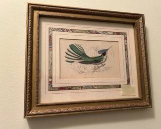 hummingbird prints