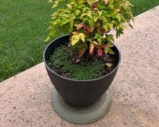 we have 4 of these planters