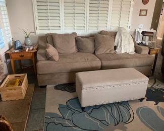 Comfy family room sofa and love seat