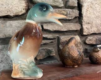Duck