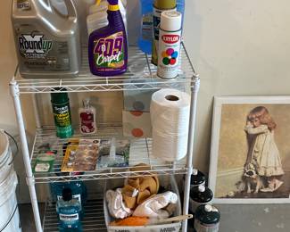 Storage Shelf