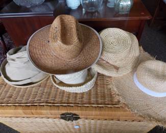 Straw Hats