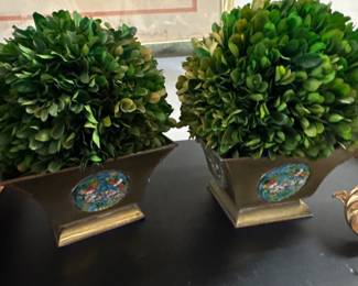 Pair faux boxwood in cachepot
