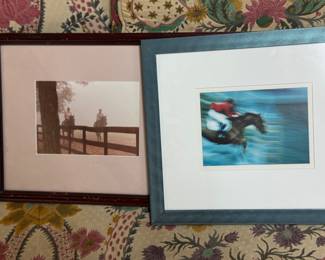 Equine photographs