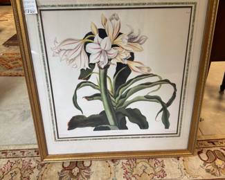 Lovely, large botanical print