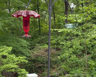Bird Feeder
