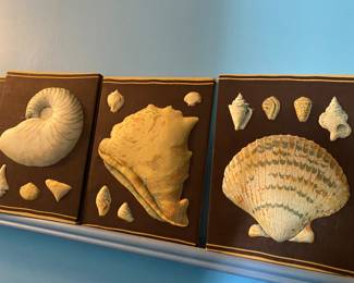 Sea Shell Wall Art