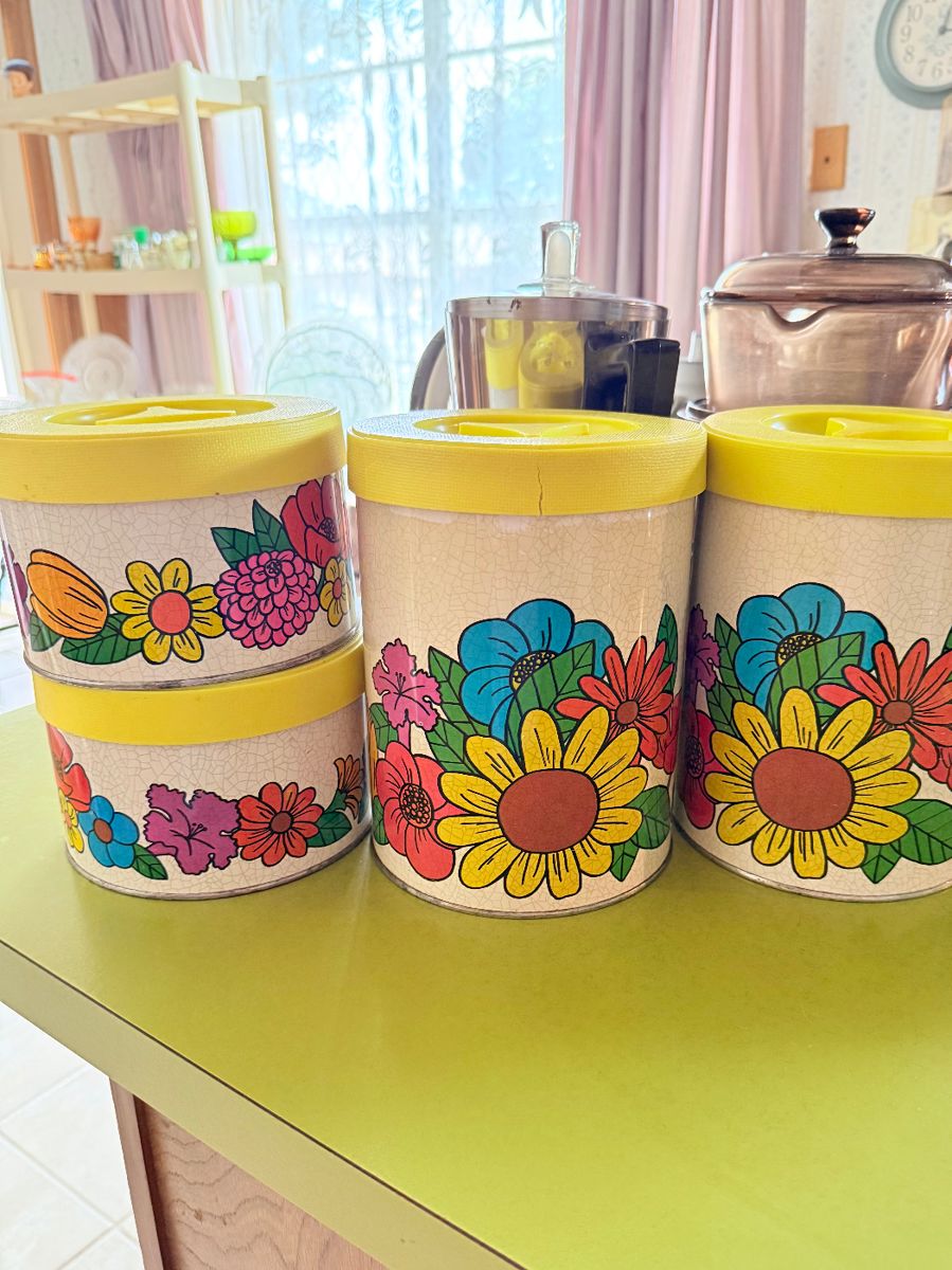 Plastic vintage canisters