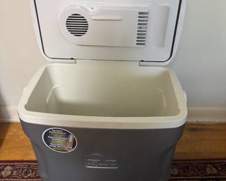 Igloo Cooler