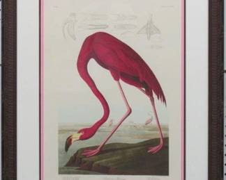 9007 - AMERICAN FLAMINGO BY JOHN J AUDUBON 23 X 28